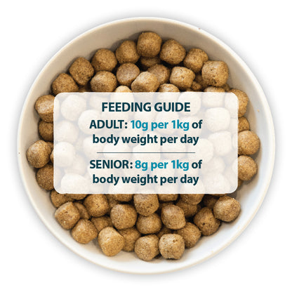 Original Fish & Brown Rice Dry Dog Food Burns Pet Nutrition