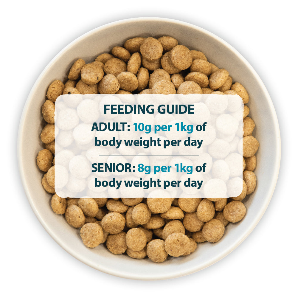 Sensitive Duck & Brown Rice Dry Dog Food Burns Pet Nutrition