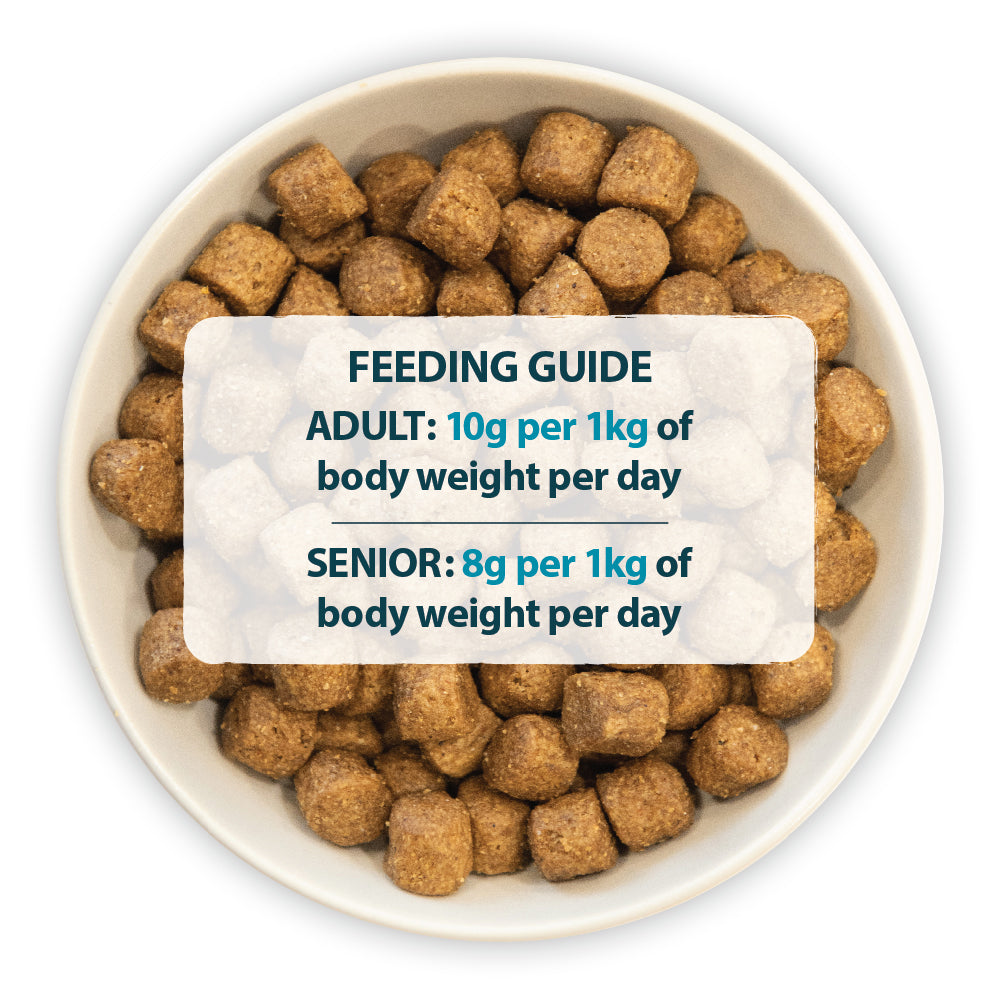 Active Working Chicken & Rice Dry Dog Food Burns Pet Nutrition