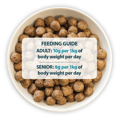 Sensitive Duck & Potato Dry Dog Food Burns Pet Nutrition