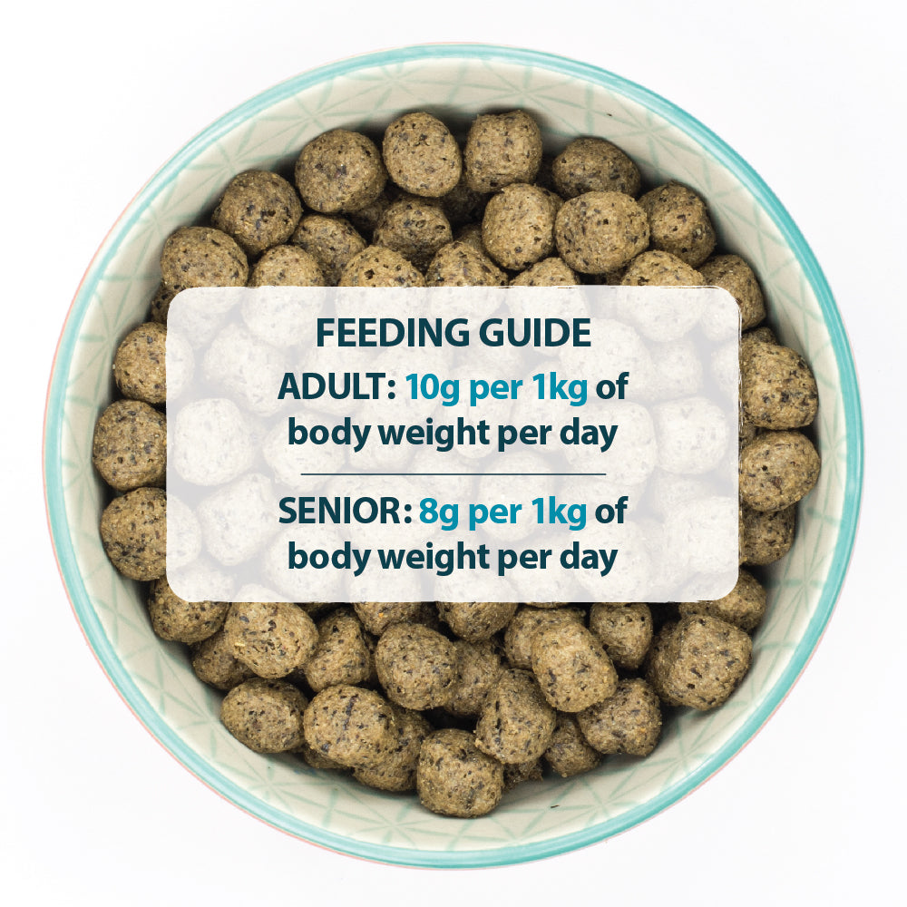 Sensitive Turkey & Potato Dry Dog Food Burns Pet Nutrition