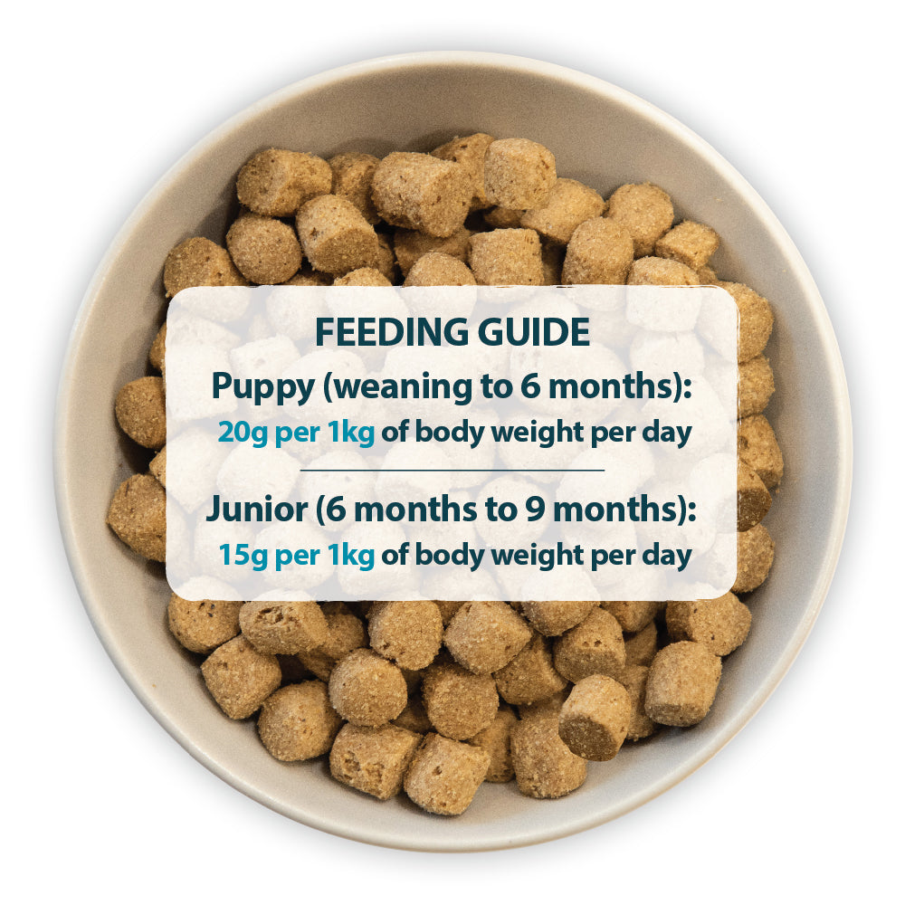 Puppy Mini Chicken & Rice Dry Dog Food Burns Pet Nutrition
