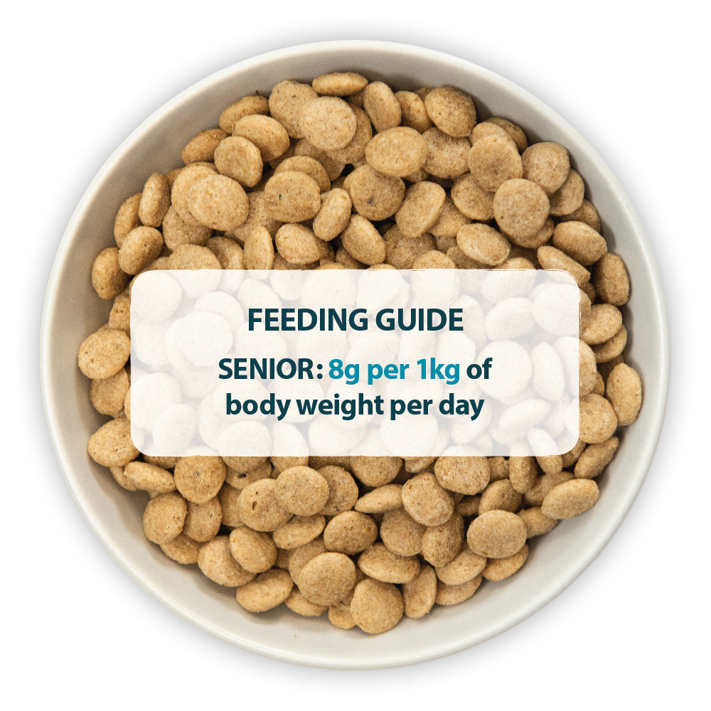 Senior+ Medium/Large Breed Chicken & Brown Rice Dry Dog Food Burns Pet Nutrition