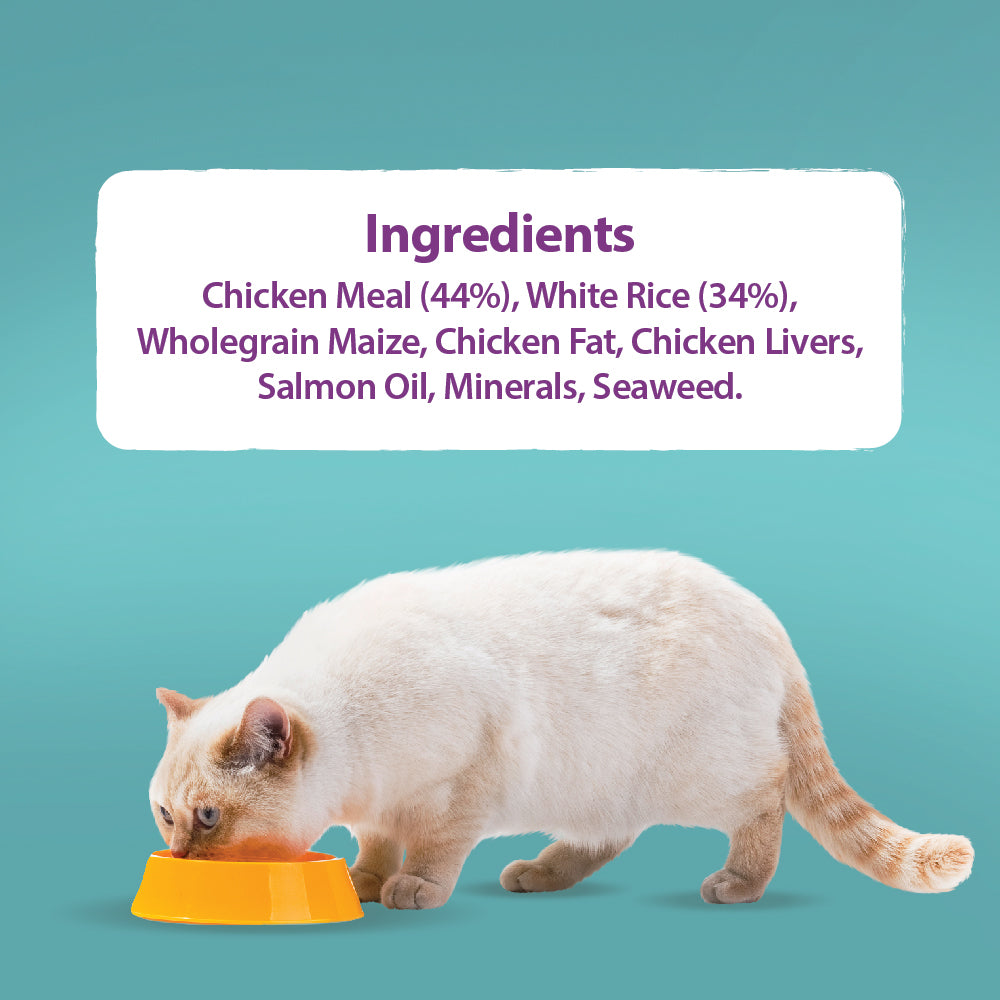Original Chicken & Brown Rice Cat Food Burns Pet Nutrition