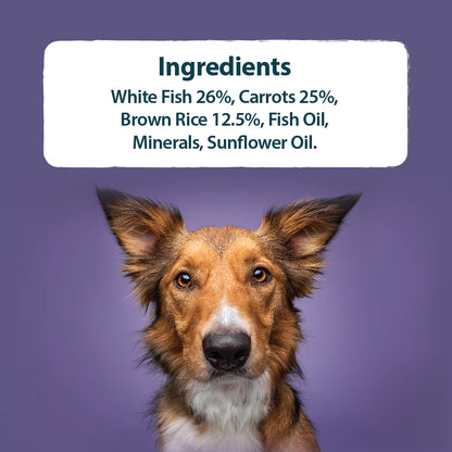 Wild Fish, Carrots & Brown Rice Wet Dog Food Burns Pet Nutrition
