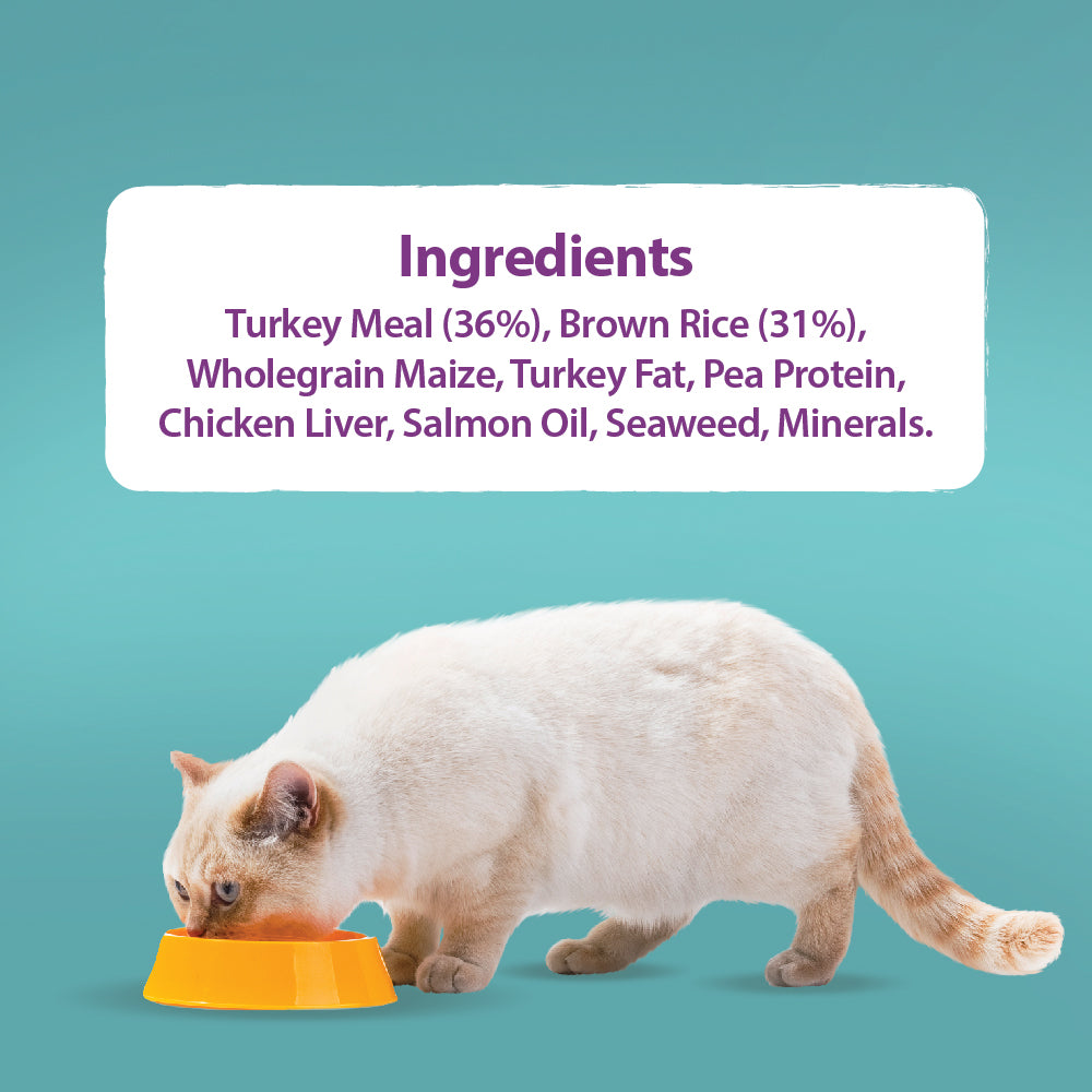 Original Turkey & Brown Rice Cat Food Burns Pet Nutrition