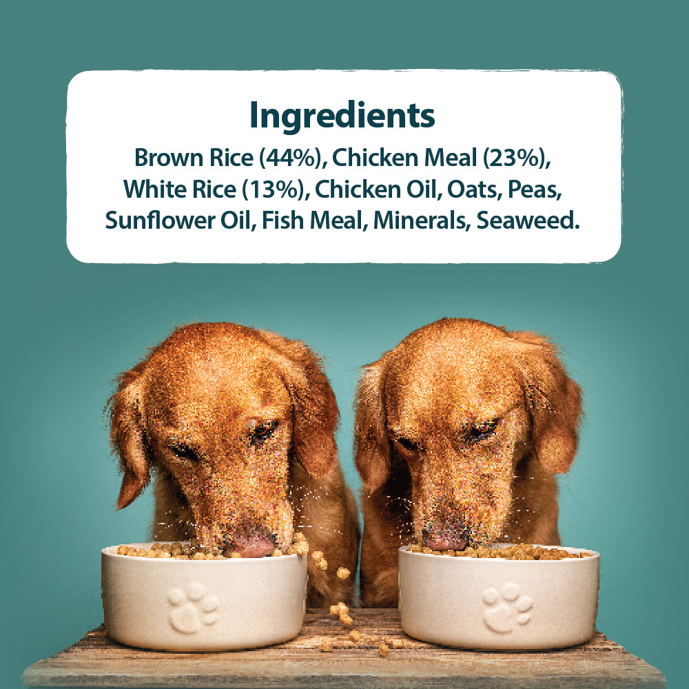 Toy & Small Breed Original Chicken & Rice Dry Dog Food Burns Pet Nutrition