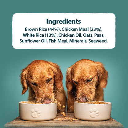 Toy & Small Breed Original Chicken & Rice Dry Dog Food Burns Pet Nutrition