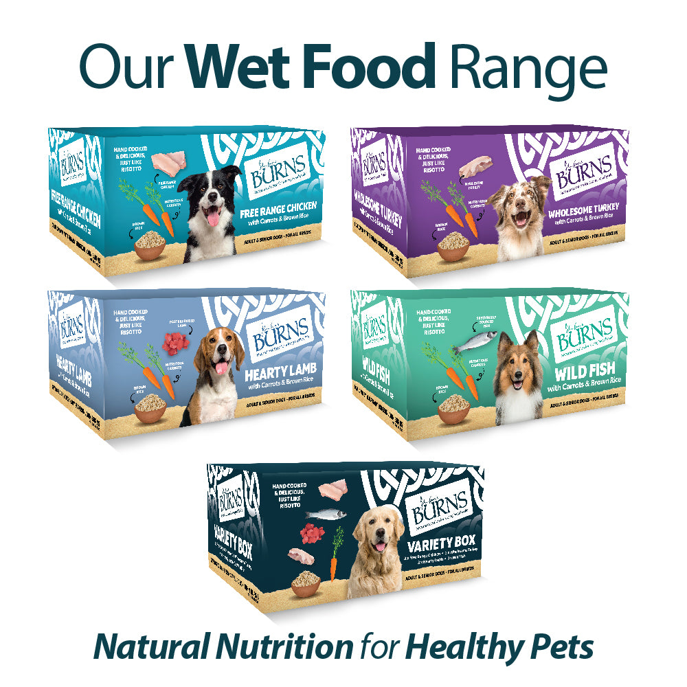 Hearty Lamb, Vegetables & Brown Rice Wet Dog Food Burns Pet Nutrition