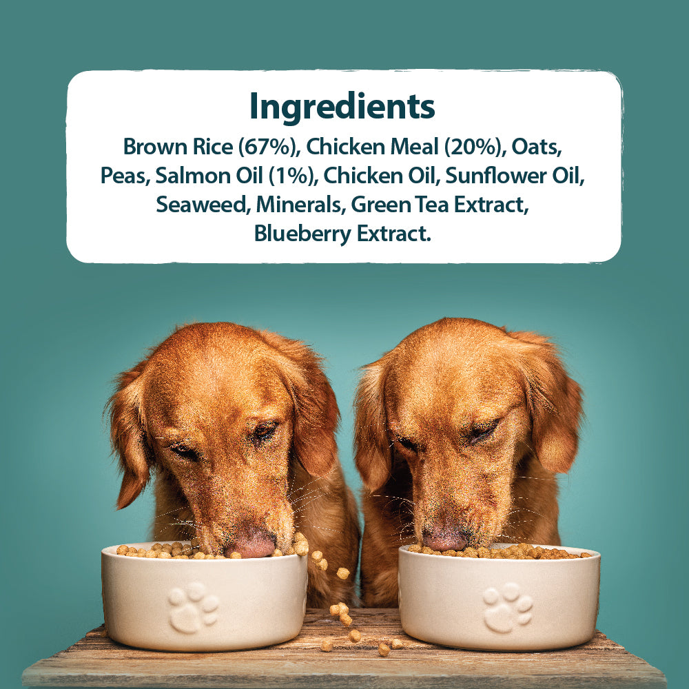 Alert Assistance Chicken & Brown Rice Dry Dog Food Burns Pet Nutrition