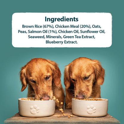 Alert Assistance Chicken & Brown Rice Dry Dog Food Burns Pet Nutrition