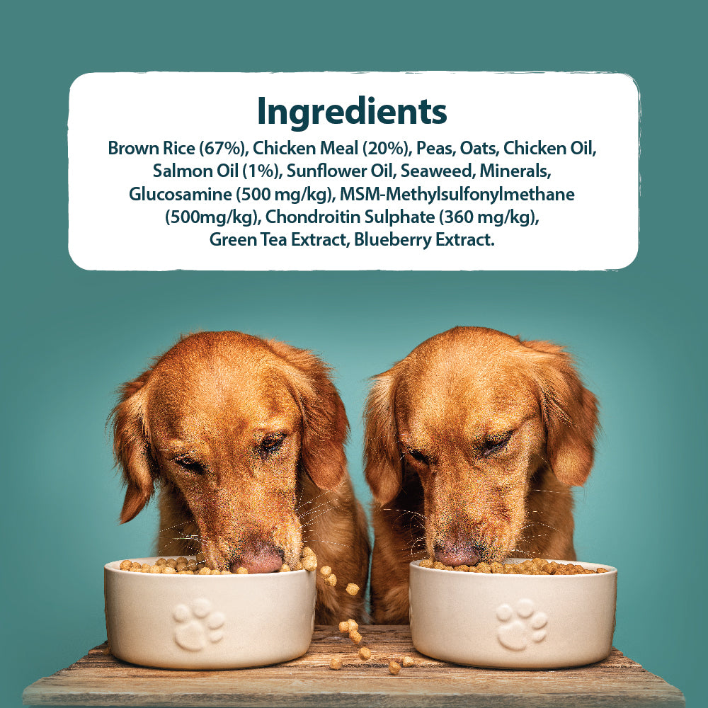 Senior+ Medium/Large Breed Chicken & Brown Rice Dry Dog Food Burns Pet Nutrition