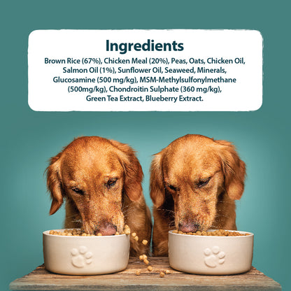 Senior+ Medium/Large Breed Chicken & Brown Rice Dry Dog Food Burns Pet Nutrition