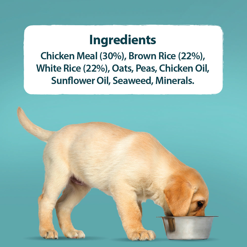 Puppy Original Chicken & Rice Dry Dog Food Burns Pet Nutrition