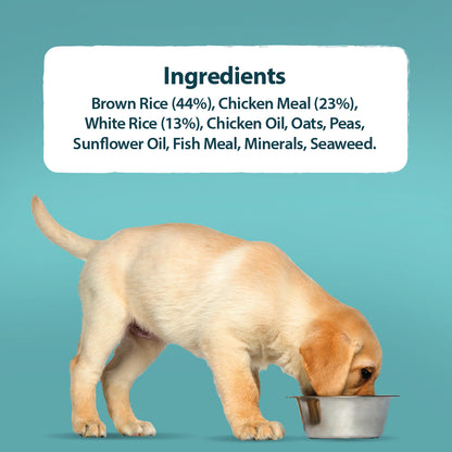 Puppy Mini Chicken & Rice Dry Dog Food Burns Pet Nutrition
