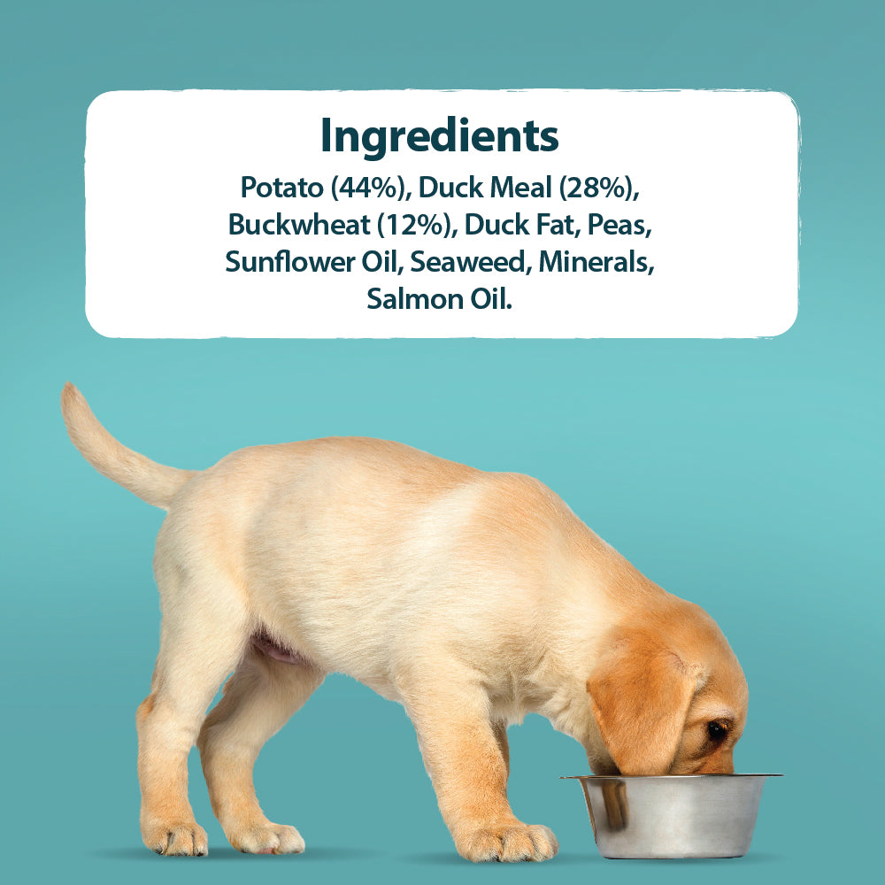 Puppy Grain Free Duck & Potato Dry Dog Food Burns Pet Nutrition