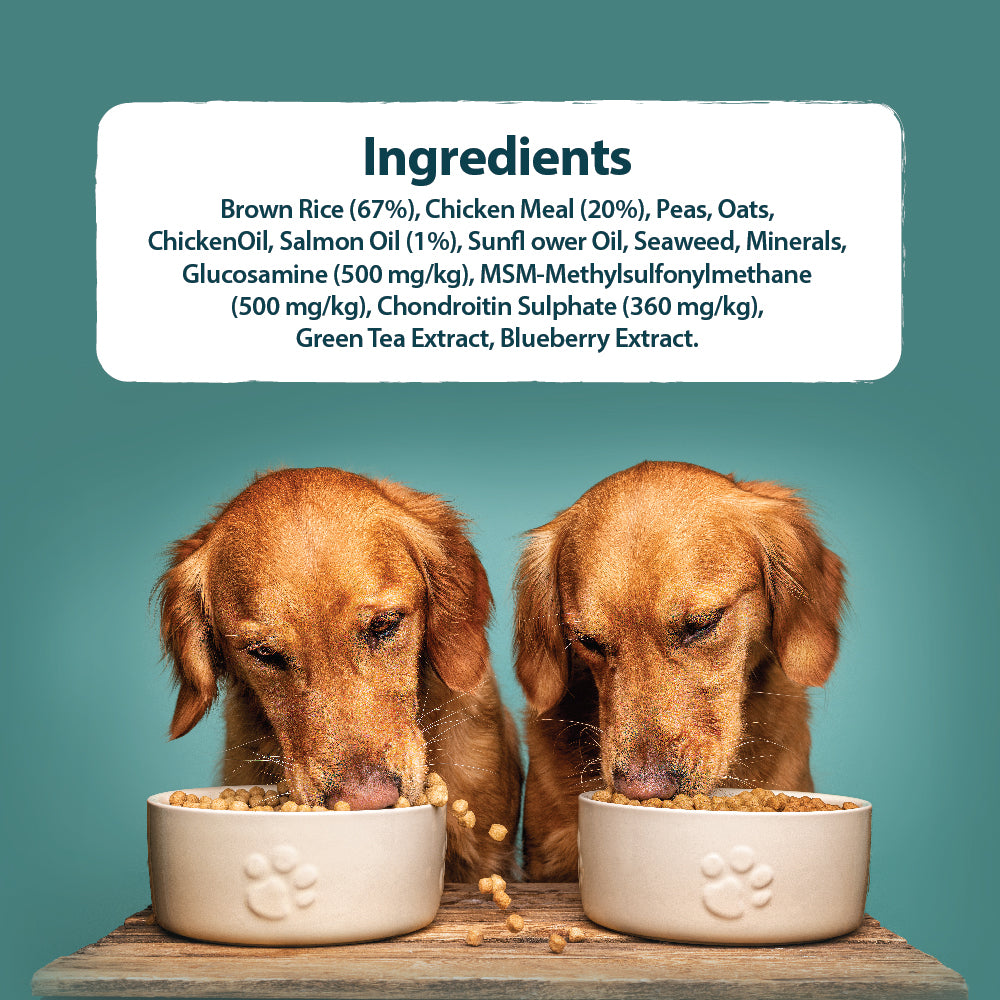 Senior+ Toy/Small Breed Chicken & Brown Rice Dry Dog Food Burns Pet Nutrition