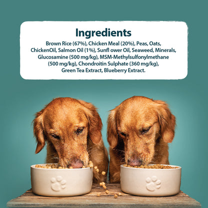Senior+ Toy/Small Breed Chicken & Brown Rice Dry Dog Food Burns Pet Nutrition