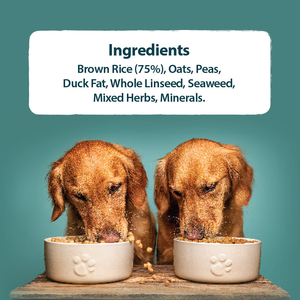 Hypoallergenic Mixer Dry Dog Food Burns Pet Nutrition