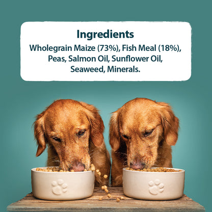 Sensitive Fish & Wholegrain Maize Dry Dog Food Burns Pet Nutrition