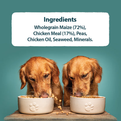 Sensitive Chicken & Wholegrain Maize Dry Dog Food Burns Pet Nutrition
