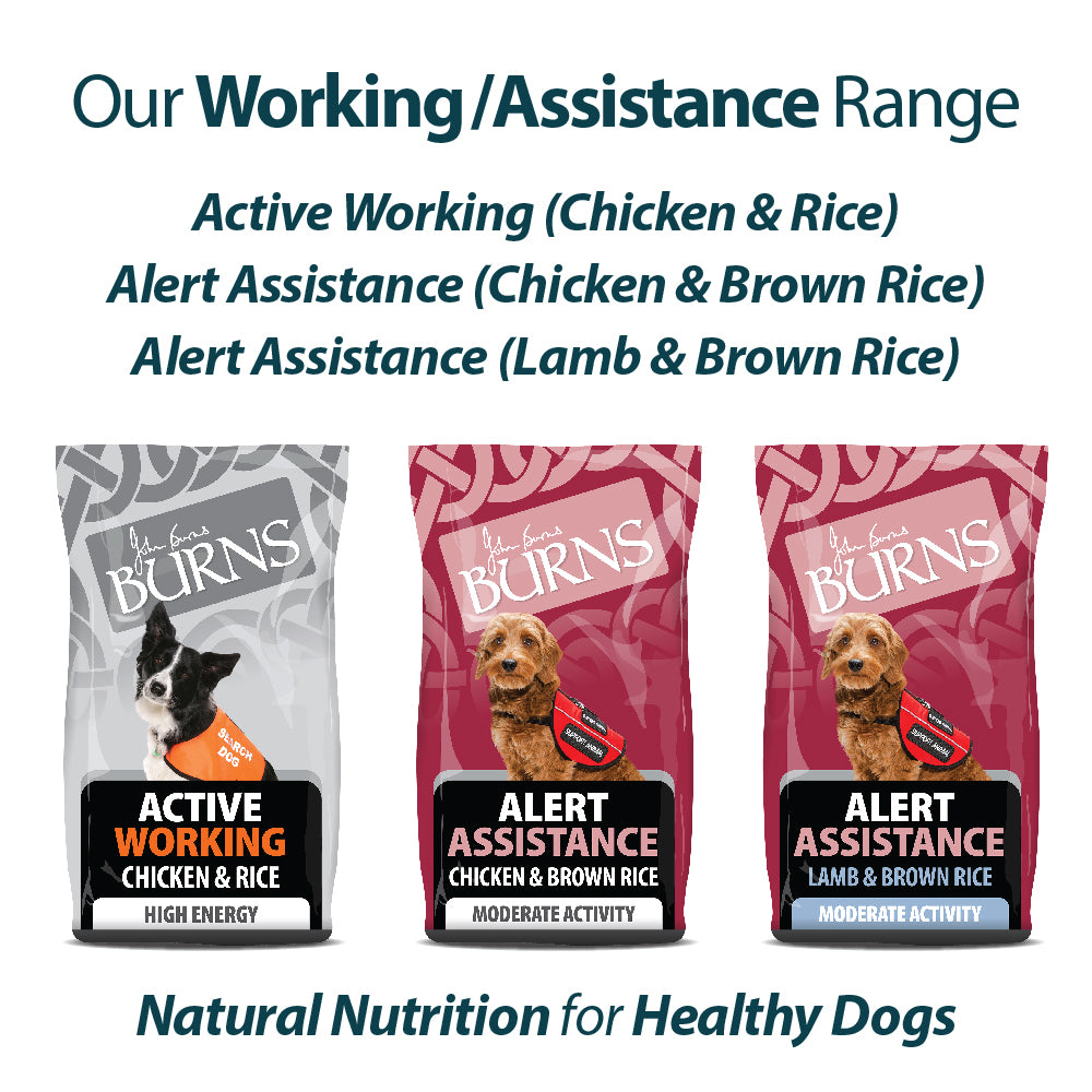 Active Working Chicken & Rice Dry Dog Food Burns Pet Nutrition