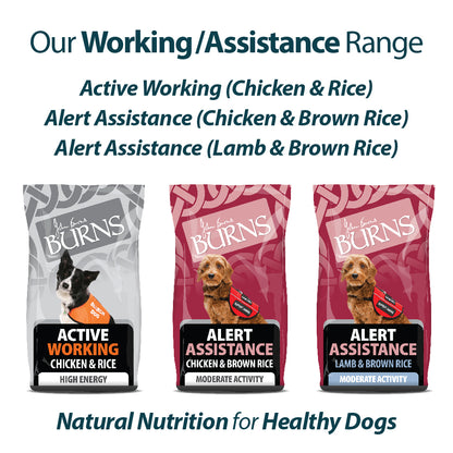 Active Working Chicken & Rice Dry Dog Food Burns Pet Nutrition