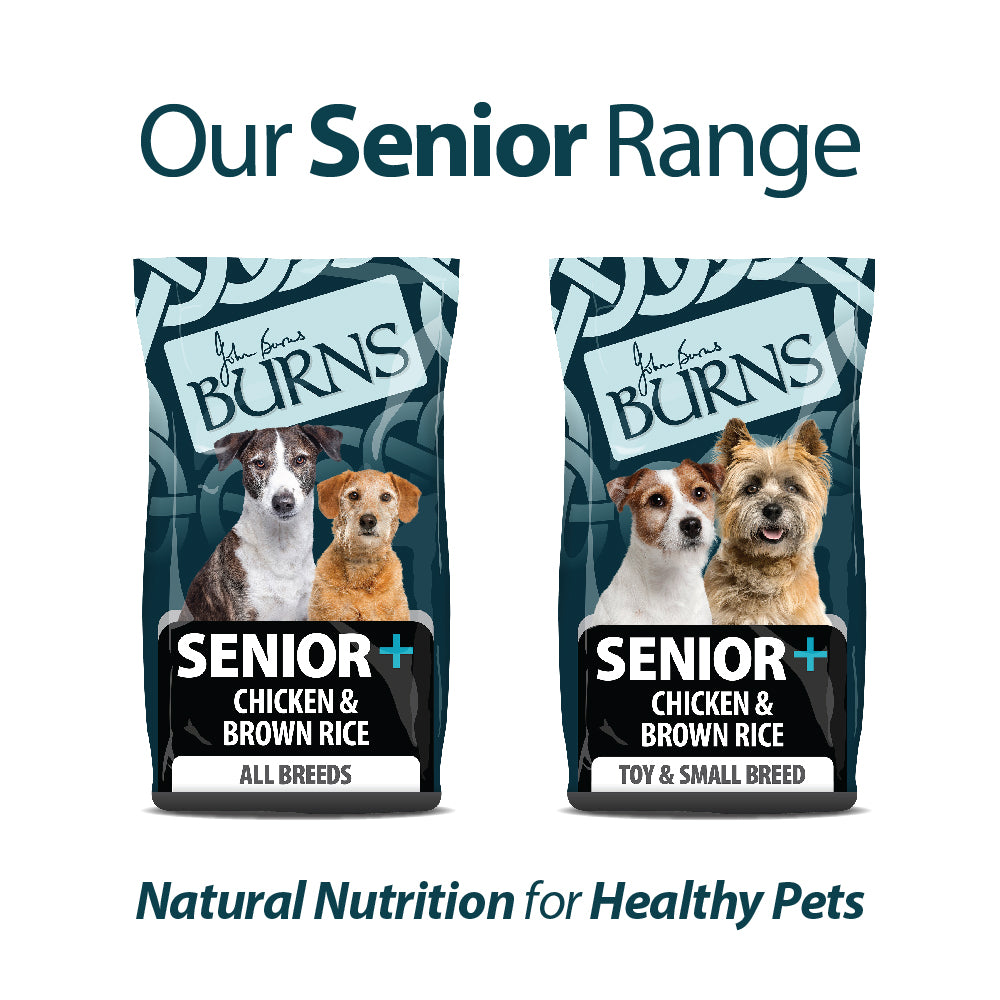 Senior+ Medium/Large Breed Chicken & Brown Rice Dry Dog Food Burns Pet Nutrition