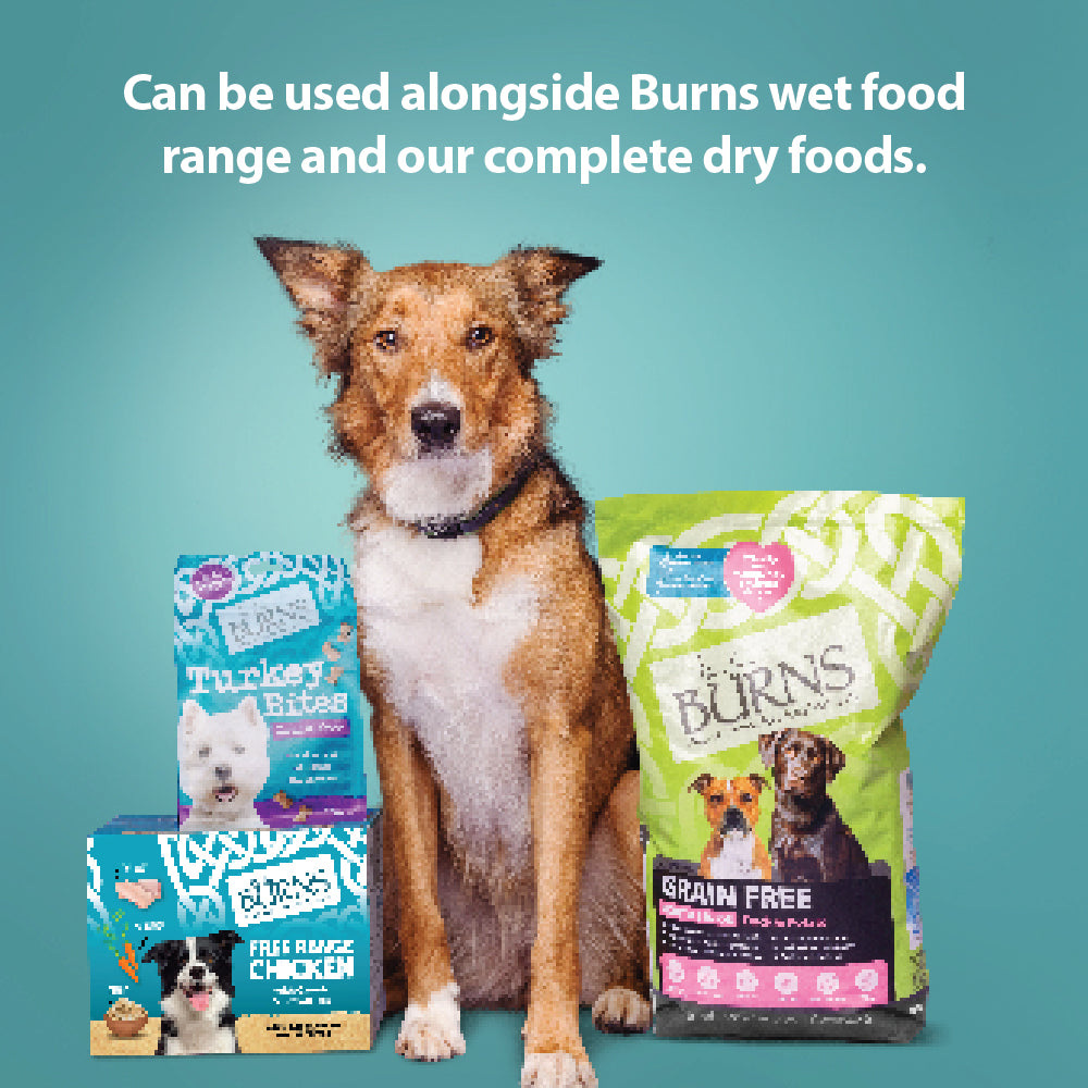 Hypoallergenic Mixer Dry Dog Food Burns Pet Nutrition