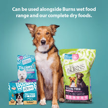 Hypoallergenic Mixer Dry Dog Food Burns Pet Nutrition