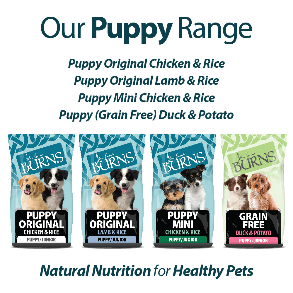 Puppy Mini Chicken & Rice Dry Dog Food Burns Pet Nutrition