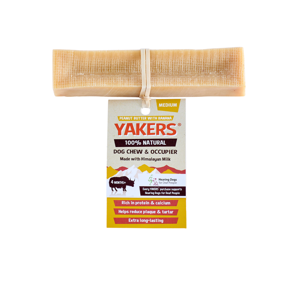 Peanut Butter & Banana Dog Chew