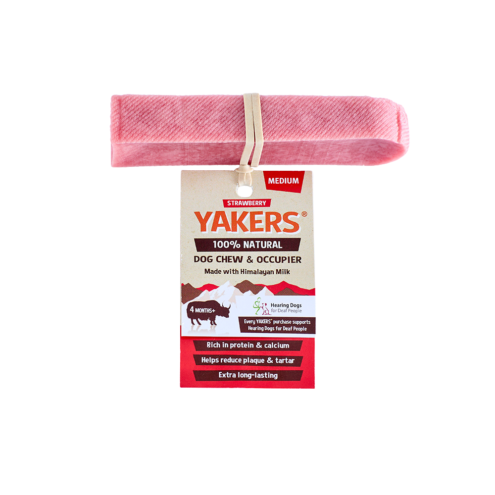 Strawberry Dog Chew