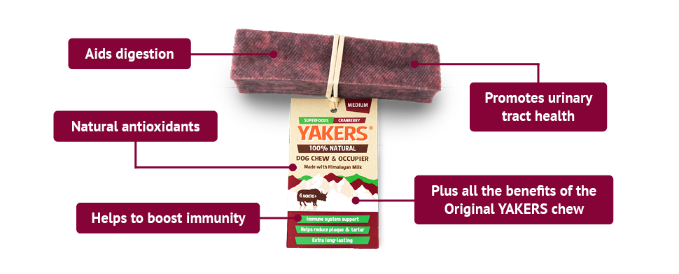 YAKERS Cranberry Dog Chew YAKERS
