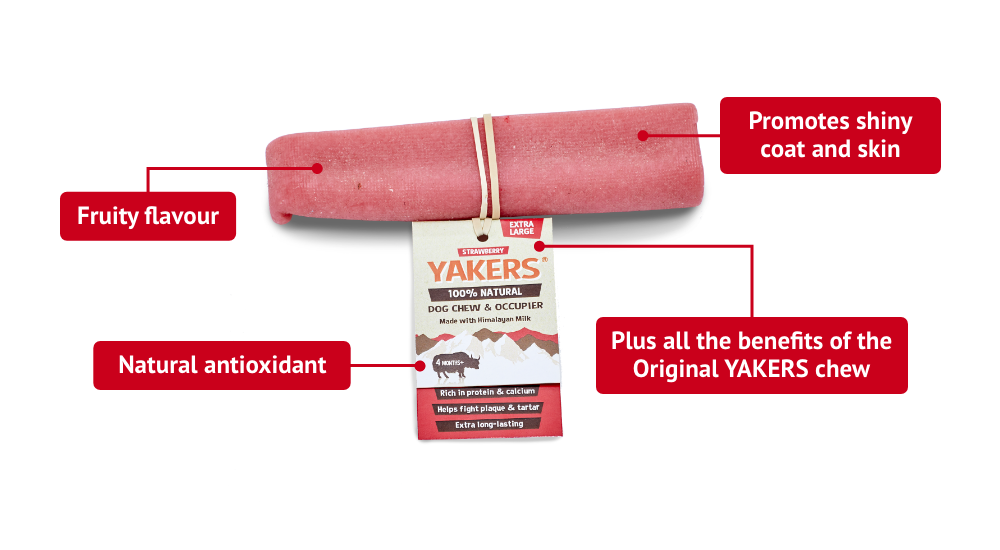 YAKERS Strawberry Dog Chew YAKERS