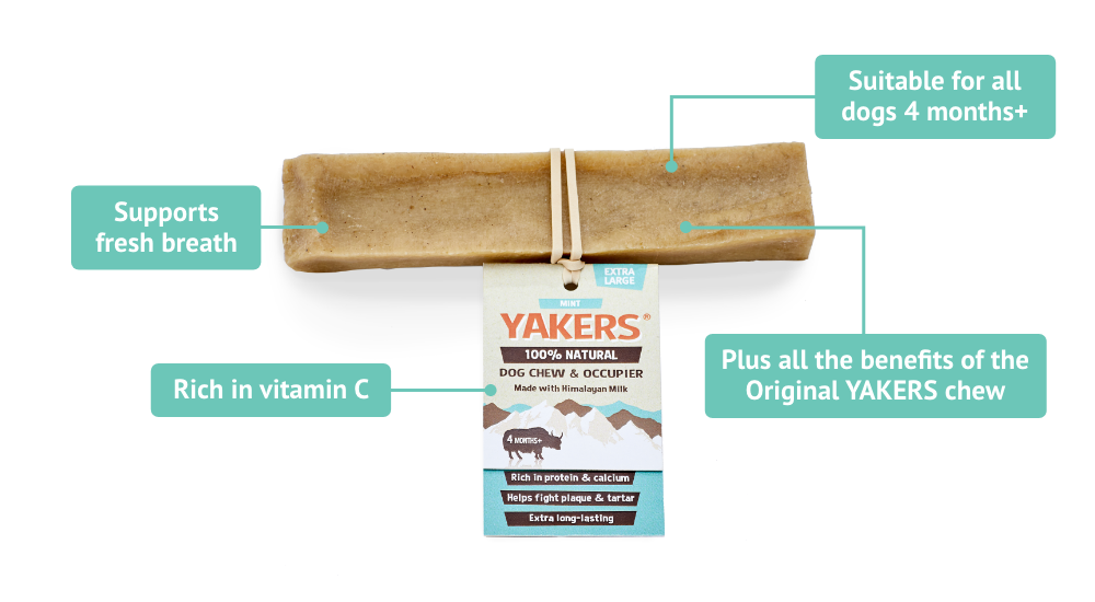 YAKERS Mint Dog Chew YAKERS