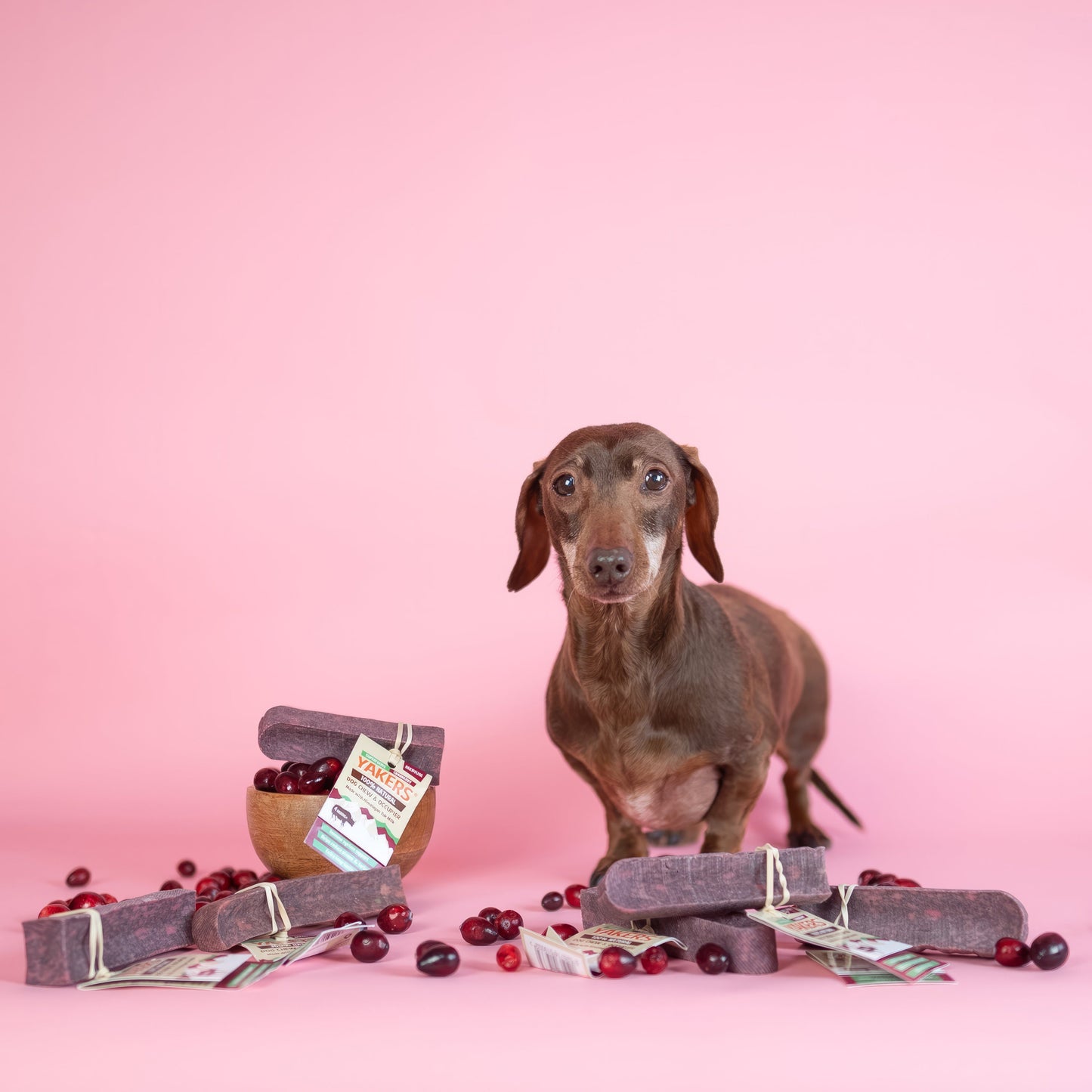 YAKERS Cranberry Dog Chew YAKERS